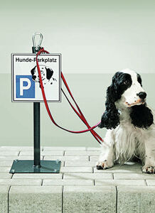 Hinweisschild Hundeparkplatz RASTI